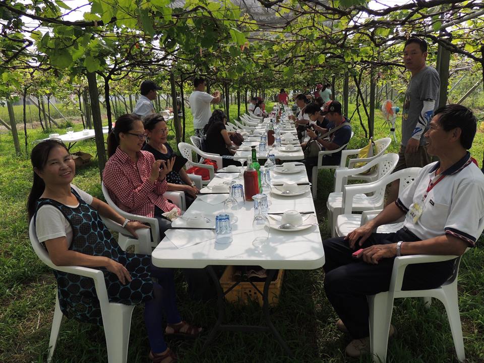 品嘗葡萄樹下的餐會